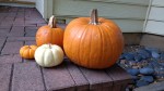 img_20161119_092750324